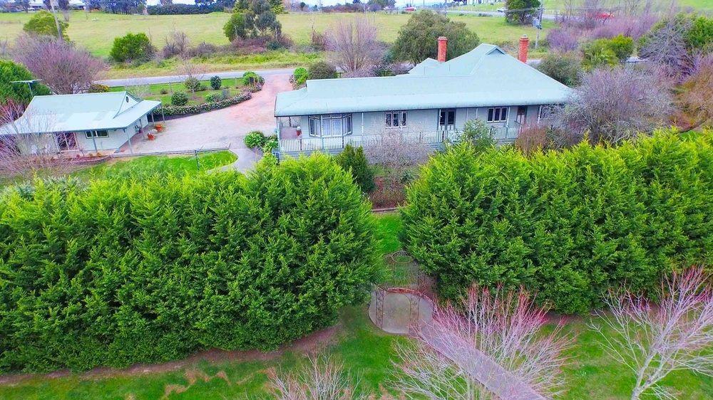 Bed and Breakfast Wild Cattle Creek Estate Wandin Yallock Exterior foto