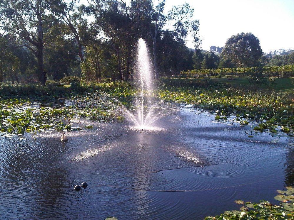 Bed and Breakfast Wild Cattle Creek Estate Wandin Yallock Exterior foto